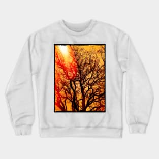 LAST LIGHT THROUGH THE TREES Crewneck Sweatshirt